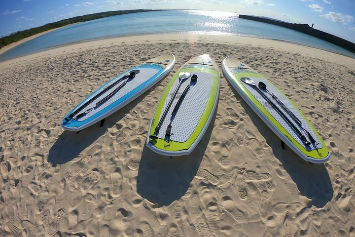 Miyakojima Stand-Up Paddle Doragon Private Tour Harga Promo Terbaru 2023