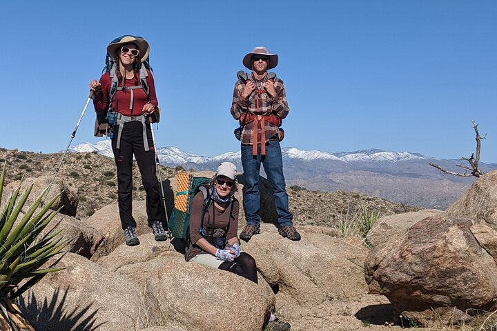 Lunettes De Soleil Joshua Tree National Park 2024 - édition Goodr - Neuves