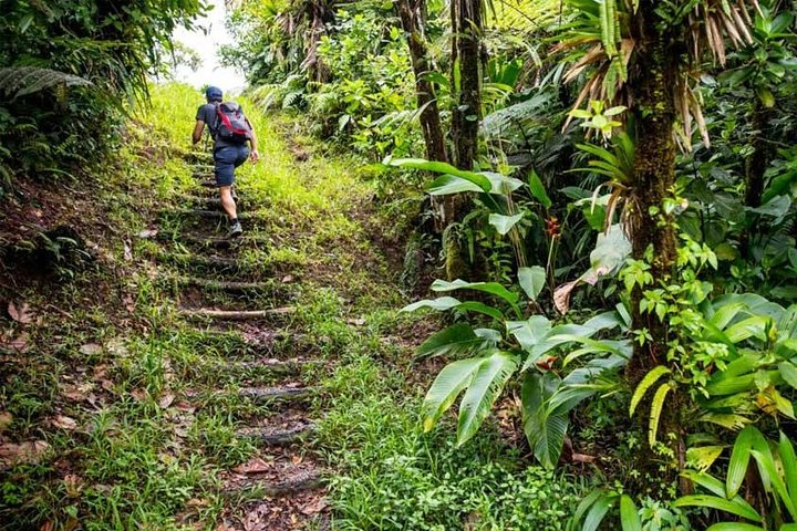 Bali Activity: Bali Jungle Trekking With Lunch And Return Hotel ...