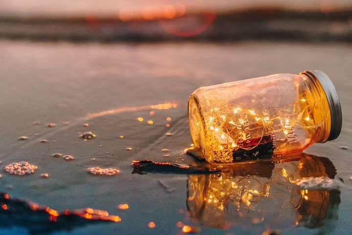 Fireflies Tour in Cherating Harga Tiket Promo Up to 7%