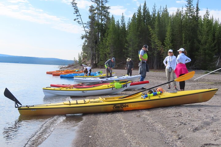 4-Hour Morning Kayak on Yellowstone Lake with Lunch T9373uGw