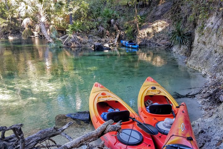 Florida Wildlife Kayaking Tour Through Blue Spring Harga Tiket Promo Up 