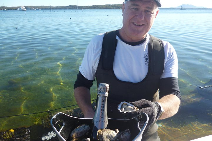 Oyster Farm and Tasting Tour with Hotel Pick-up and return from Port ...