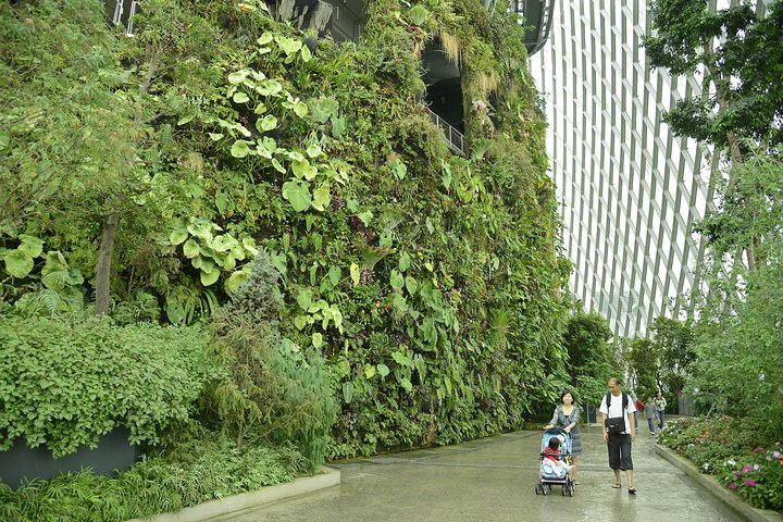28.jpg-backdrop