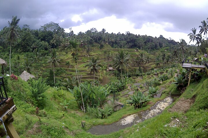 4f.jpg