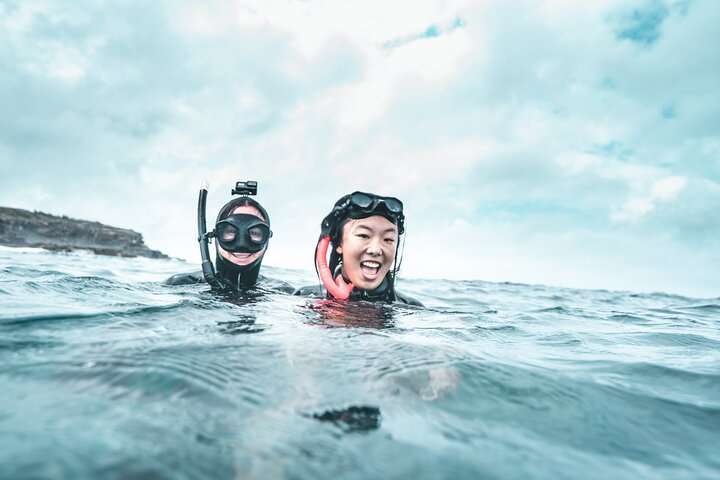 4-Hour Freediving Taster Experience at Shelly Beach, Manly NKC28sNv