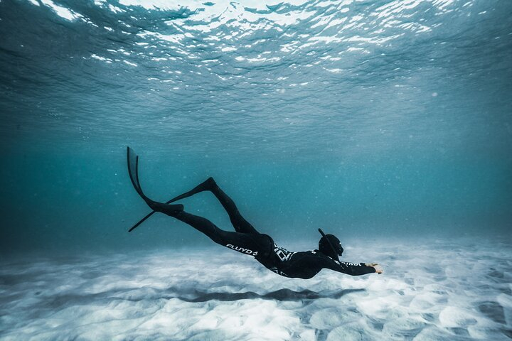 4-Hour Freediving Taster Experience at Shelly Beach, Manly oFl9CTlw