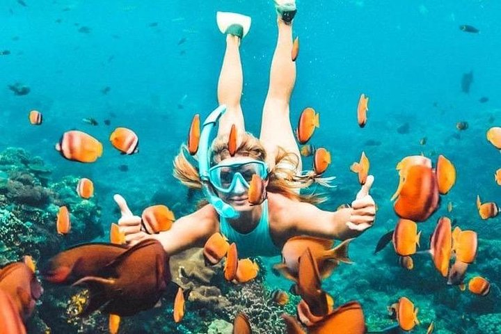 All Inclusive : Bali Blue Lagoon Snorkeling With Lunch And Transport ...