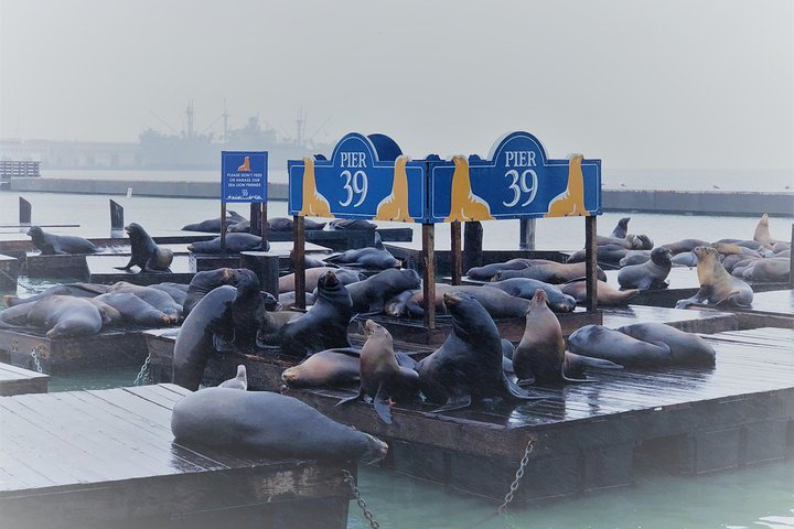 Alcatraz Ticket + Fisherman's Wharf Walking Tour 2024 Promo Up to 7%