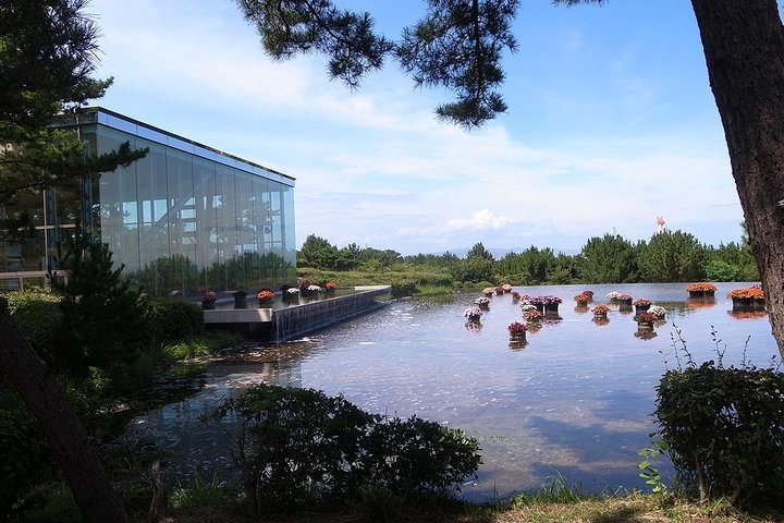 Hitachi Seaside Park Day Tour OB0M5rFk