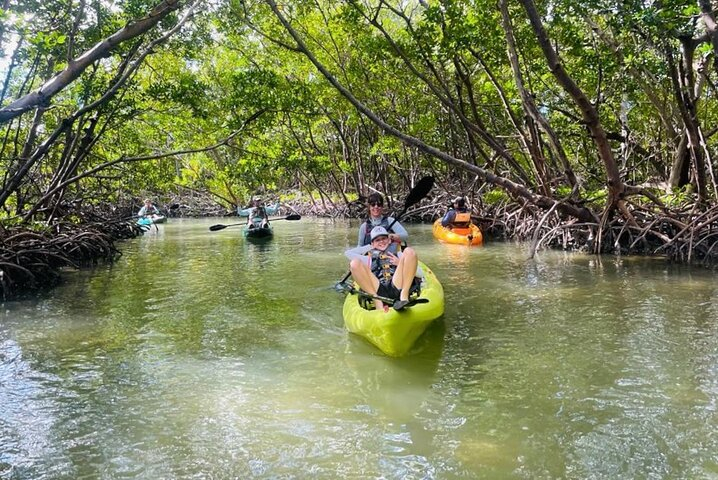 Mangrove Tunnels Kayak And Paddle Board Eco Tour Harga Tiket Promo Up To 7%