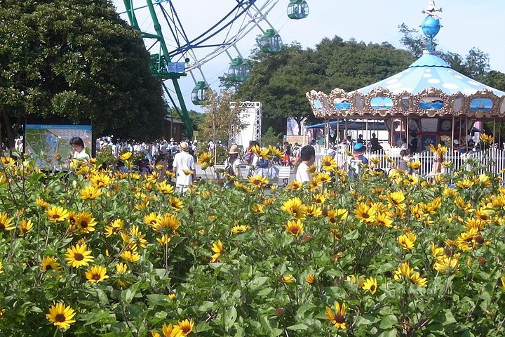 Hitachi Seaside Park Day Tour X3MjxasI