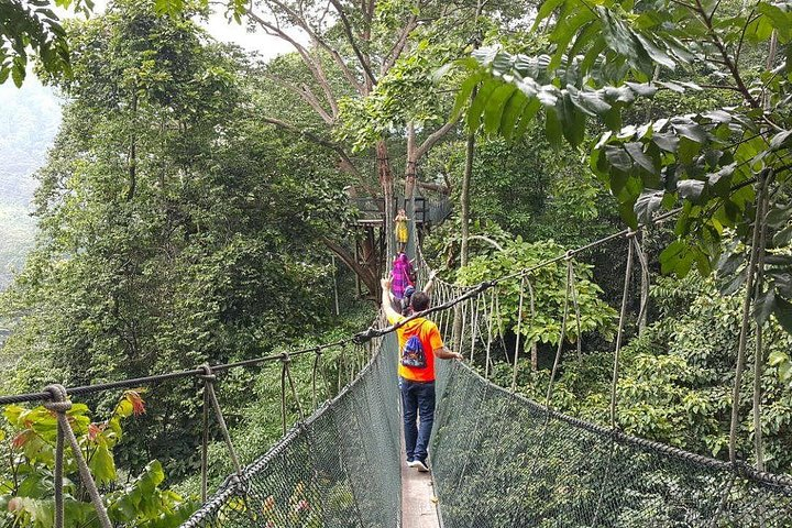 Forest Research Institute Malaysia (FRIM) Nature Trekking Tour Harga ...