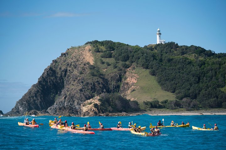 Kayaking with Dolphins in Byron Bay Guided Tour ngr8cchg-backdrop
