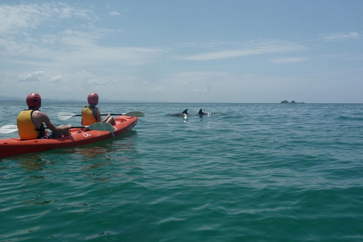 Kayaking with Dolphins in Byron Bay Guided Tour fUAwPB9T