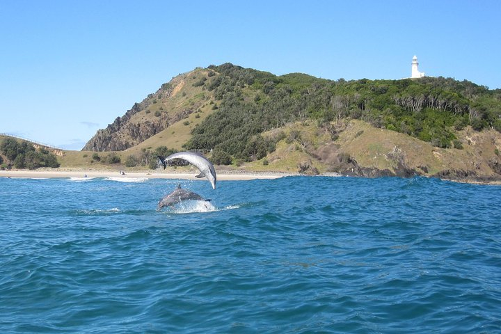Kayaking with Dolphins in Byron Bay Guided Tour 4vTuiquj
