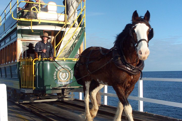 Full-Day Tour in South Australia Highlights oqkScYnH-backdrop