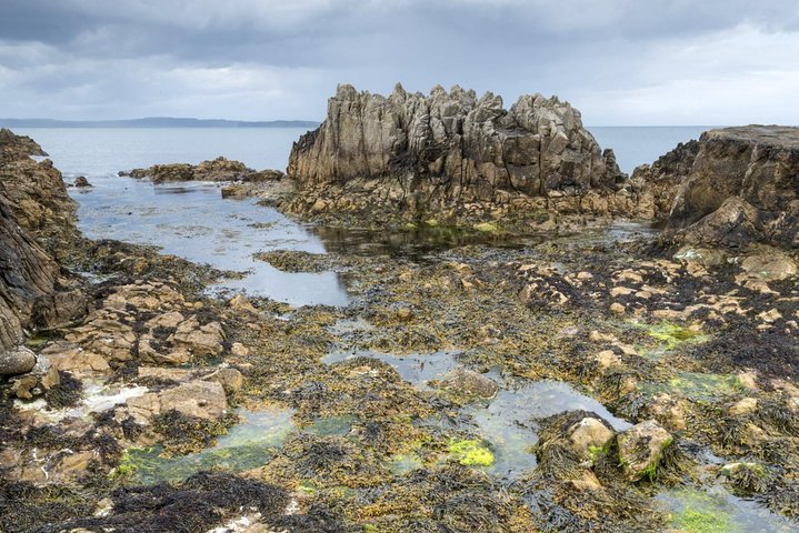 game of thrones and giant's causeway day tour from belfast