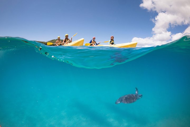 Kayaking with Dolphins in Byron Bay Guided Tour T7vLztSf