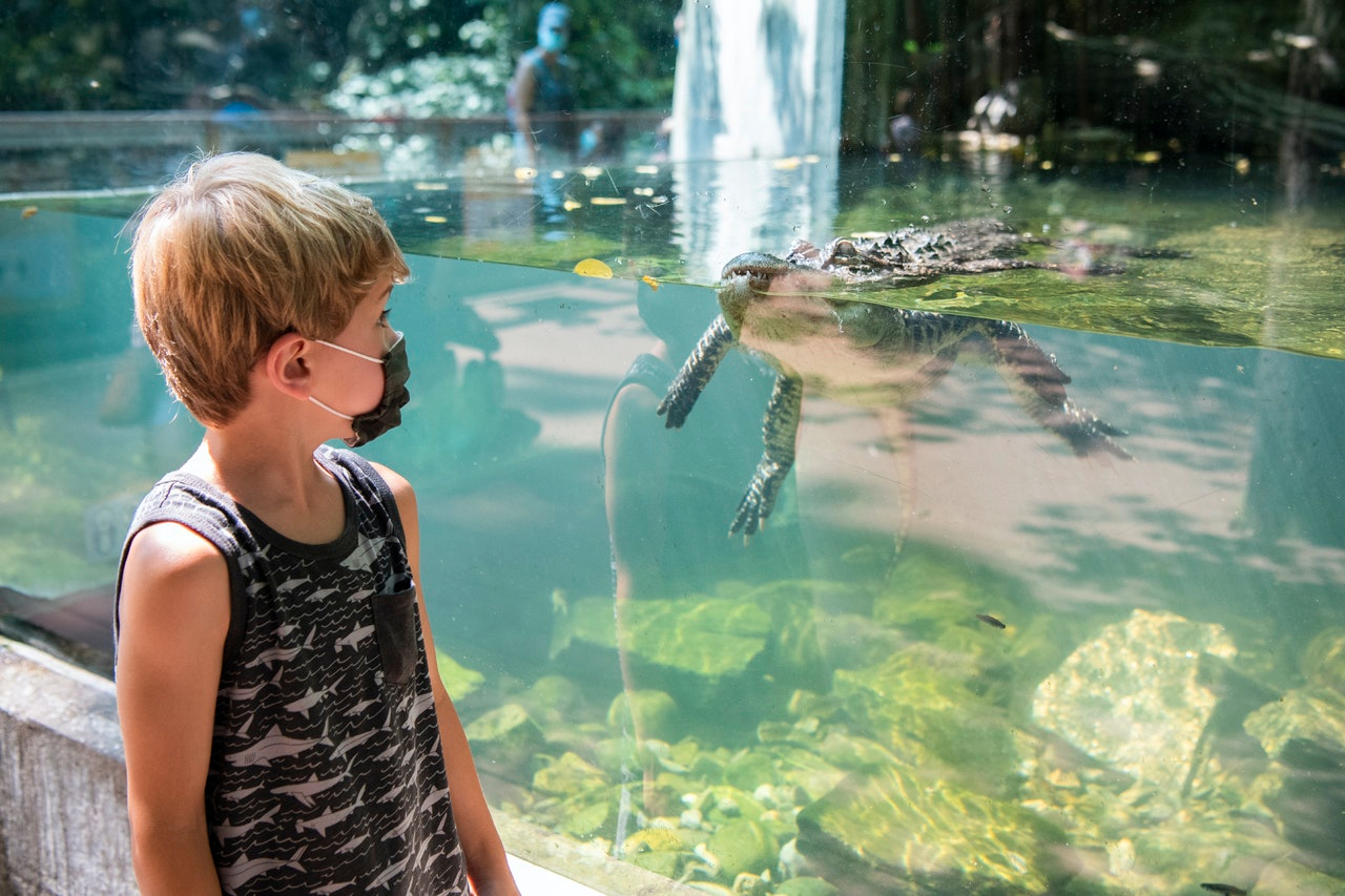 Bronx Zoo Harga Tiket Promo Up to 7