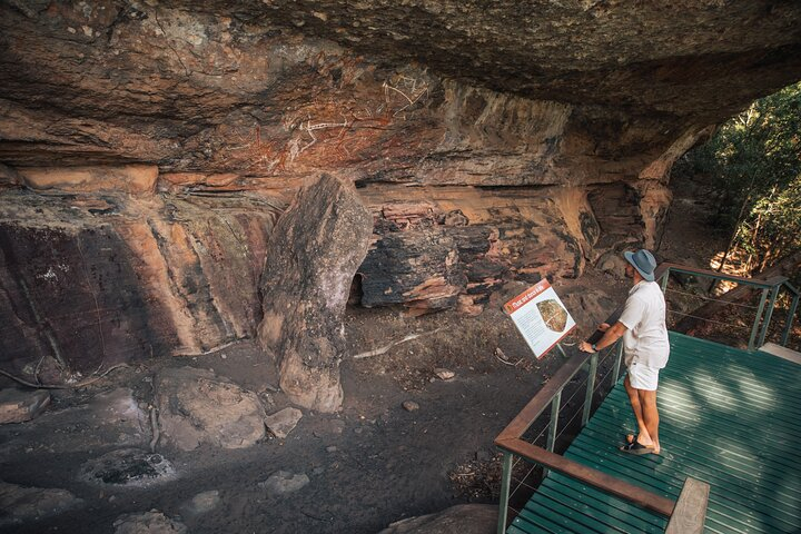 Kakadu National Park Wildlife and Ubirr Rock Art Tour from Darwin City ...