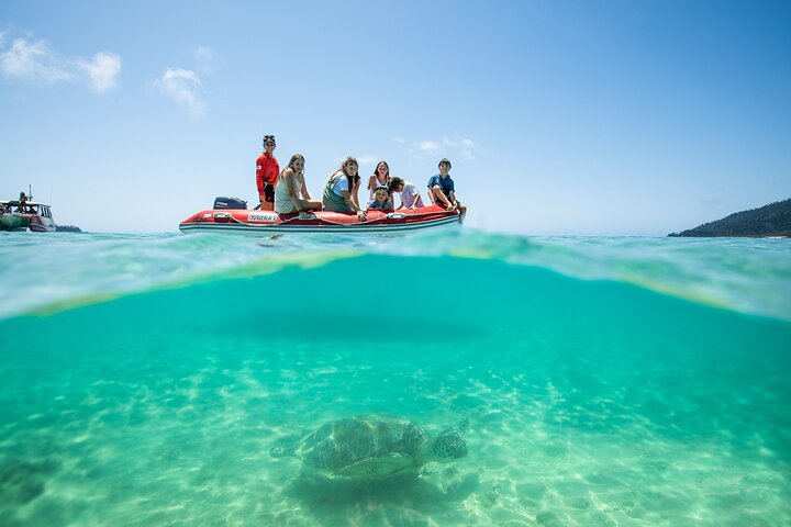 catamaran cruise whitehaven