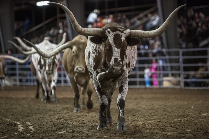 General Admission Ticket to the Saturday Night Rodeo Bulverde 2024 ...