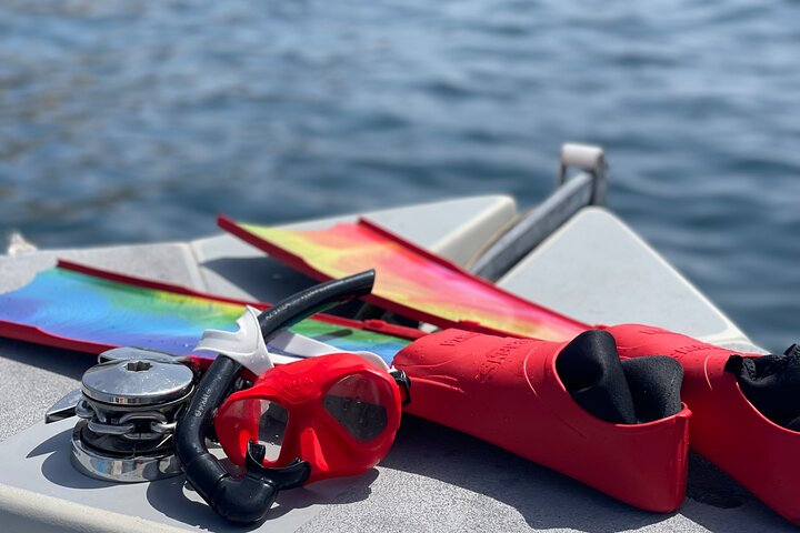 Private 3-Hour Snorkeling Tour near Monte Cristo from Marseille with Guide dw3yihxz-backdrop