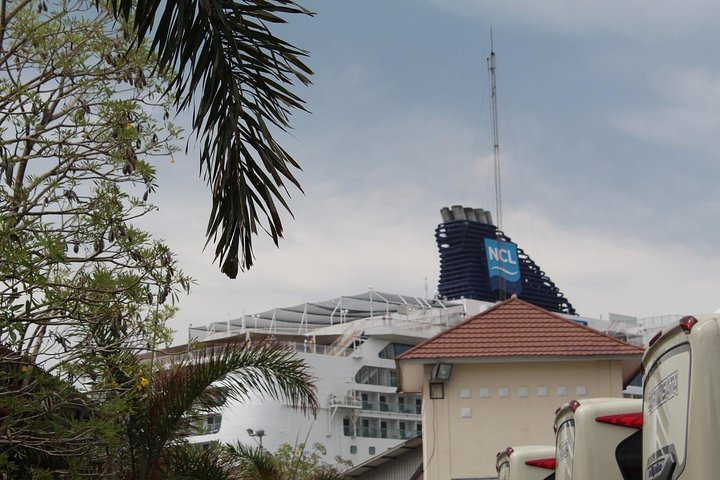 c8.jpg