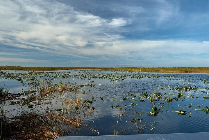 1-Hour Air boat Ride and Nature Walk with Naturalist in Everglades ...