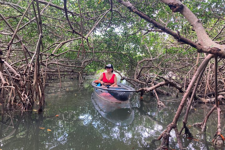 Clear Kayak Tour at Shell Key in Tampa Bay Harga Promo Terbaru 2023