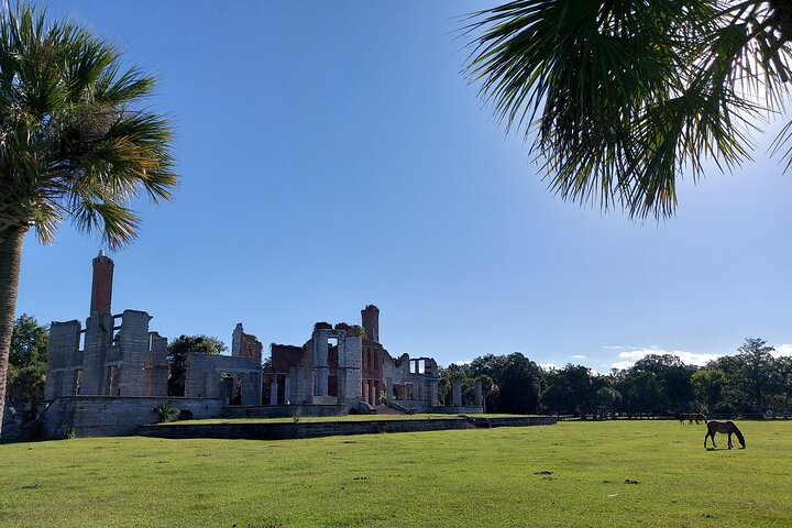 Cumberland Island Walking Tour MOv9NROP-backdrop