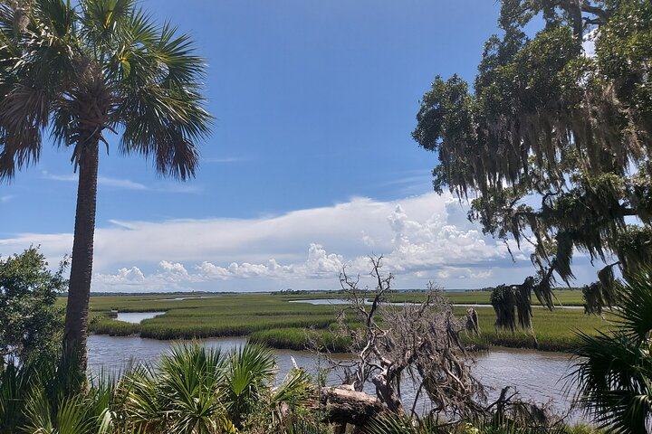 Cumberland Island Walking Tour Treivmsy