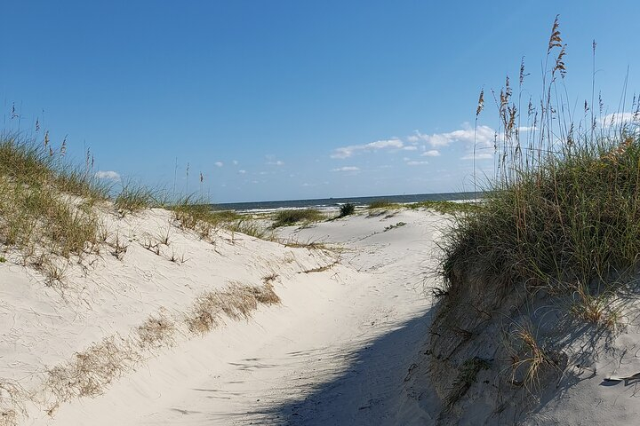 Cumberland Island Walking Tour SQRBCPqW
