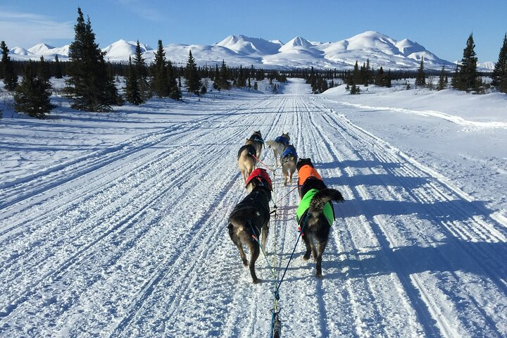 View of 7 Community Solar Options for Apartment Dwellers Who Can't Install Panels