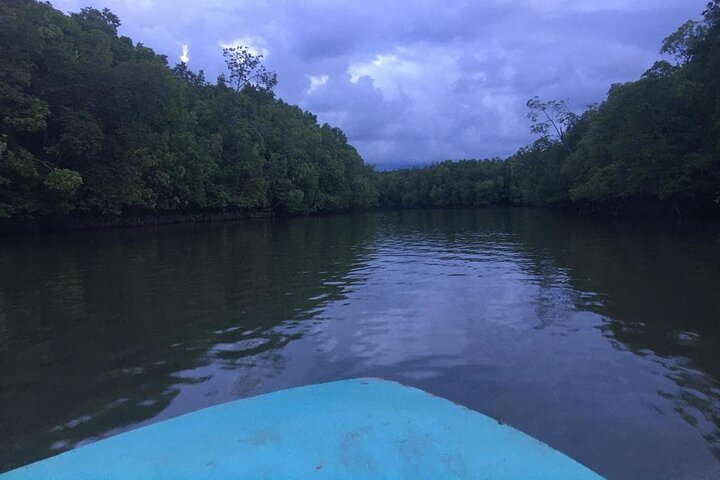 Mangrove Cruise with Fireflies Tour Including Dinner from Sandakan F1jxMAtd-backdrop