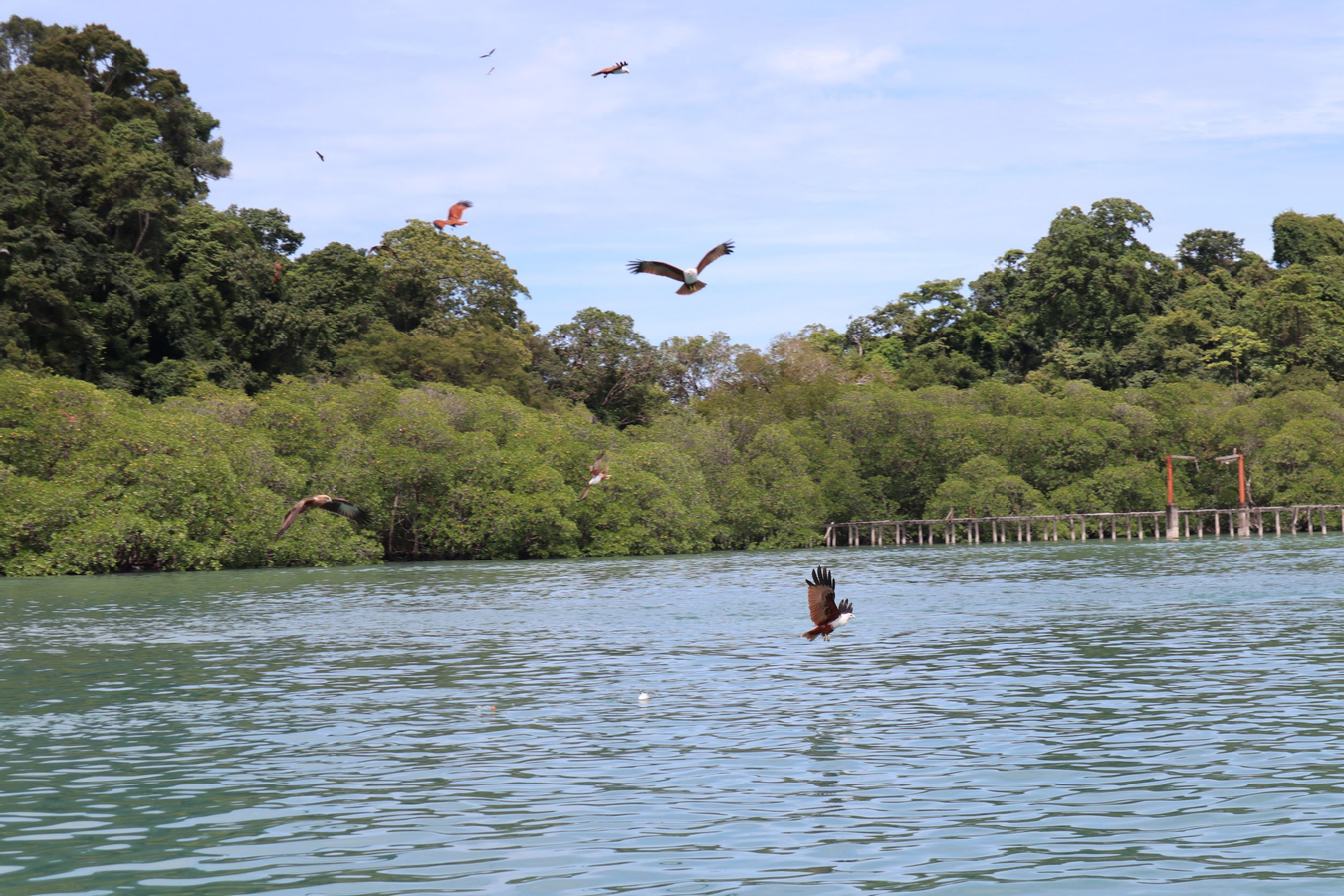 Langkawi Island Hopping Tour by Speedboat ryQYUnRi