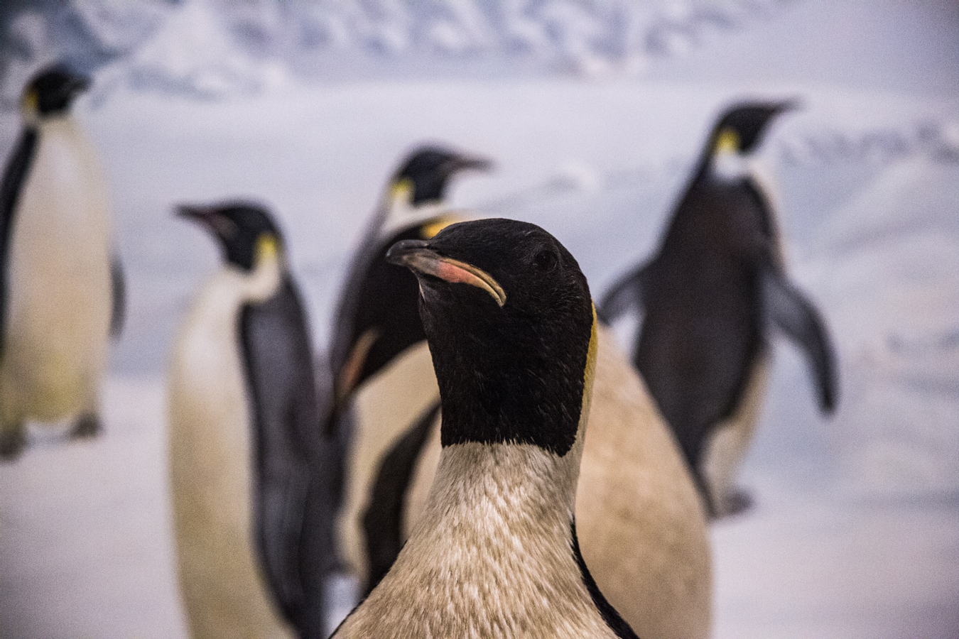 fbeb4557-0f44-475d-a795-c45d00fdaec6.jpg