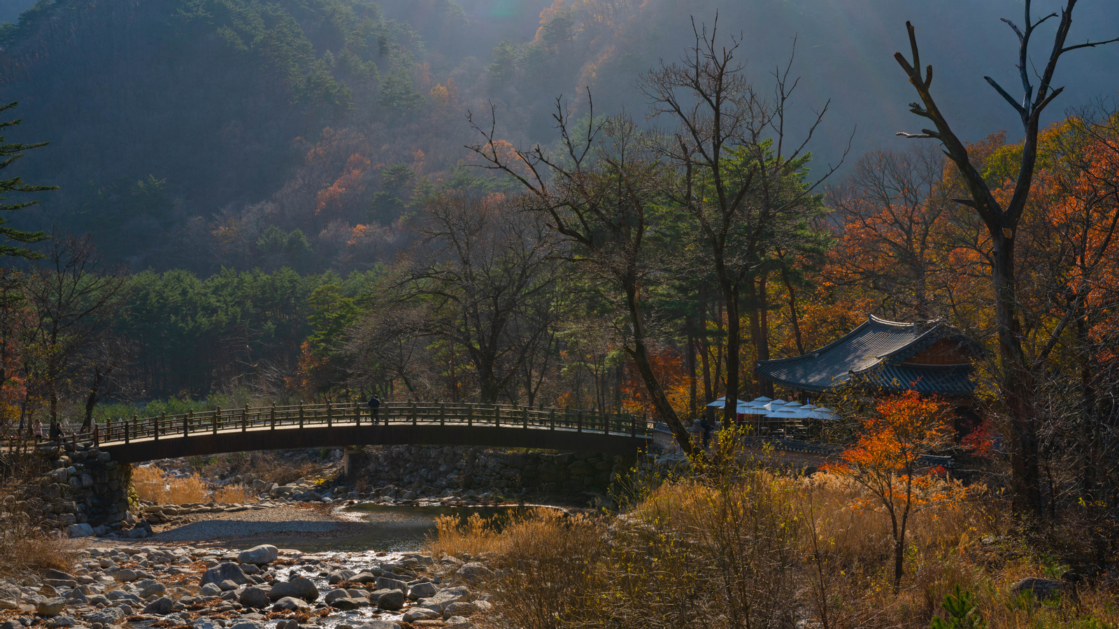 Mount Seorak and Naksansa Temple Tour from Seoul V1j6Tqw2