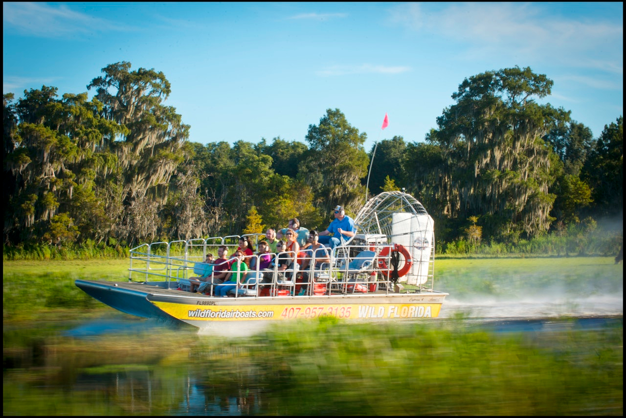 wild florida everglades tour