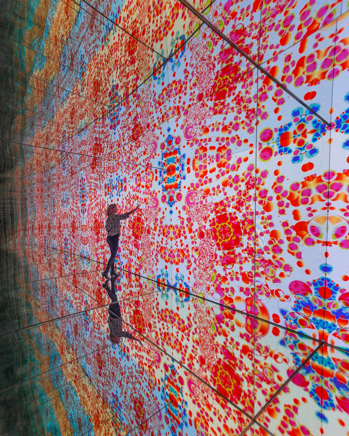 Moco Museum Amsterdam: Skip The Line Ticket a7EFCIsw