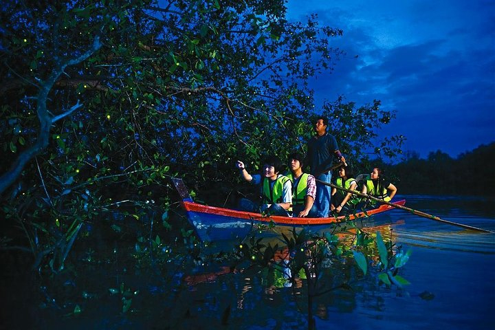 Kuala Selangor Fireflies Tour & Batu Caves Include Seafood Dinner ty4R8vQJ