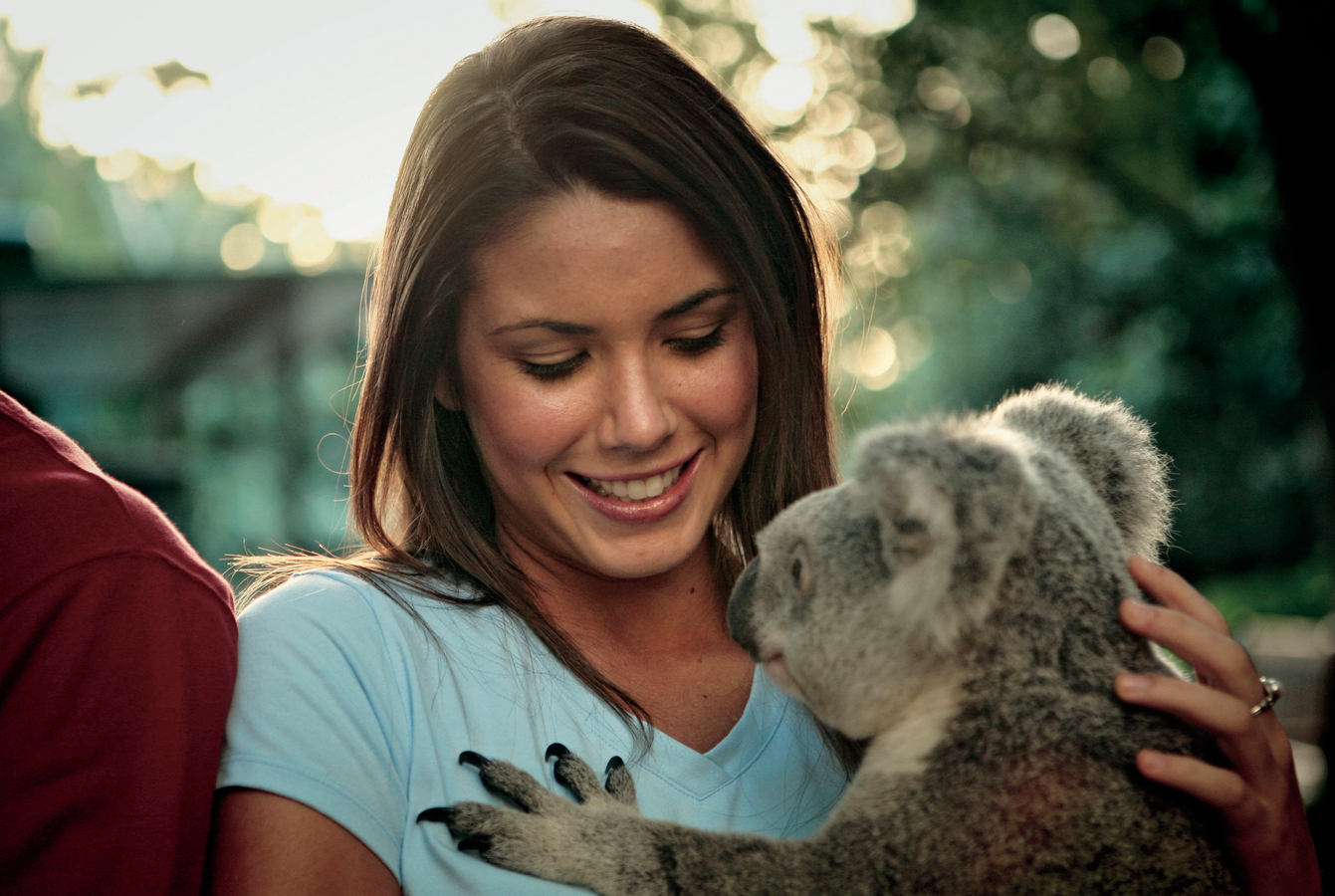 Mirimar Cruise - Brisbane River Cruise and Lone Pine Koala Sanctuary EKueCoua