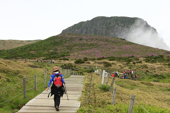 88.jpg