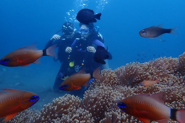 Shipwreck Tulamben Diving Tours Harga Promo Terbaru 2023