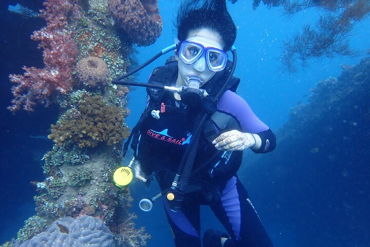 Shipwreck Tulamben Diving Tours Harga Promo Terbaru 2023