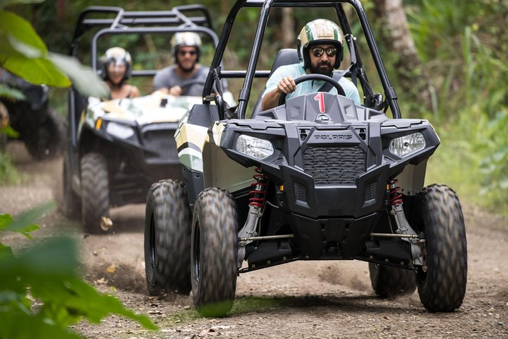 Half Day Jungle Buggies in Bali with Guide Harga Promo Terbaru 2023