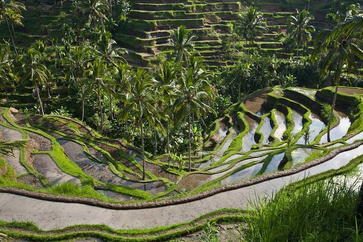 Tiket Nature of Ubud 