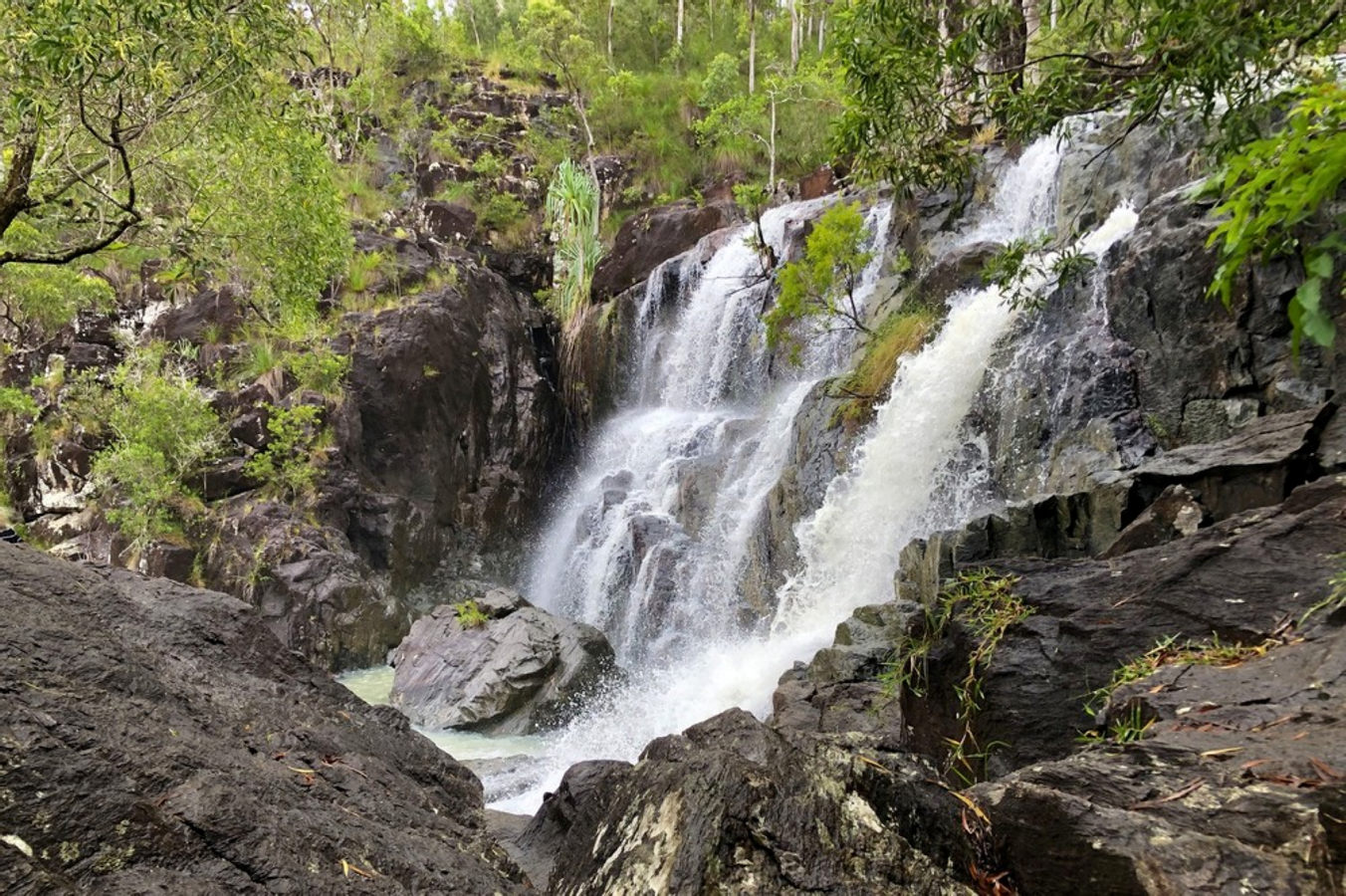 Cedar Creek Falls Tour XduqWsL7