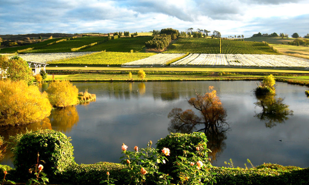 Tiket Introduction to Fly Fishing Harga Promo